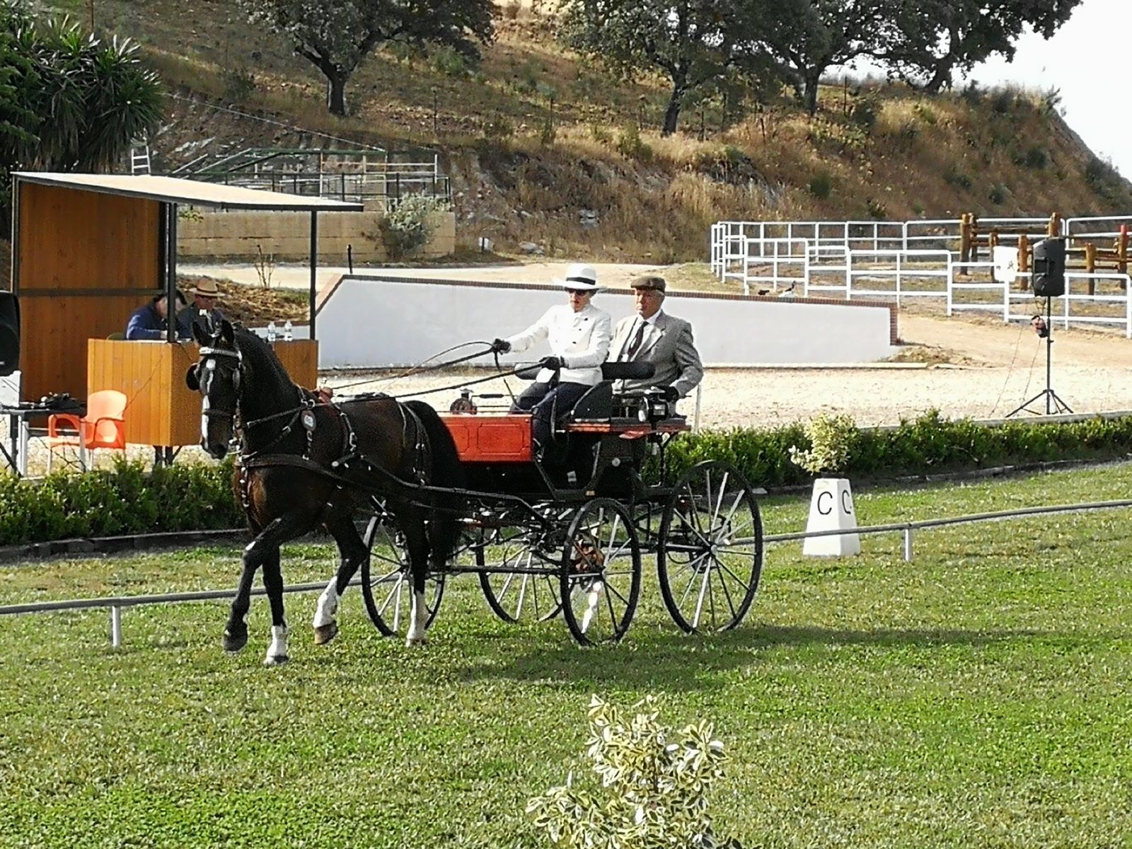 Excelente representación Navarra en la Copa S.M. el Rey de Enganches 2018